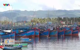 Nỗ lực gỡ thẻ vàng thủy sản: 2 năm liệu có xứng đáng?