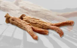 "Săn" hồng sâm lên men chữa bệnh - đừng nhầm lẫn với hồng sâm thường