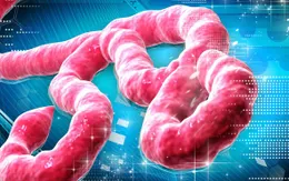 Nhật Bản nhập virus nguy hiểm về nghiên cứu trước thềm Olympic 2020