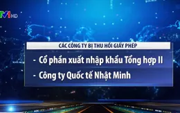 Hàng loạt DN xuất khẩu lao động bị xử phạt, thu hồi giấy phép