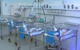 Báo động gia tăng trẻ em sinh non