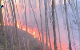 Nhìn lại hiện tượng thời tiết cực đoan trong năm 2019