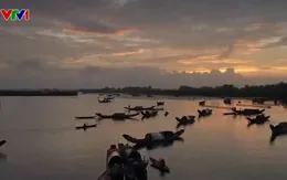 Khám phá Phá Tam Giang - Đầm phá lớn nhất Đông Nam Á