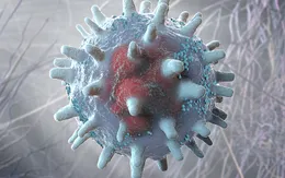 Phát triển phân tử "mồi nhử" giúp vô hiệu hóa virus lây từ động vật sang người