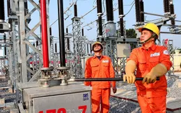 Triển khai nhiều biện pháp đảm bảo cung ứng điện an toàn dịp Tết