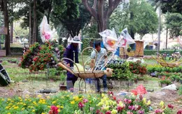 Không khí chuẩn bị Hội Hoa Xuân trên bến dưới thuyền