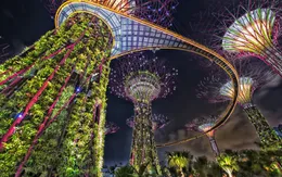 5 điểm ngắm pháo hoa ai cũng muốn đến dịp Tết Nguyên đán Canh Tý 2020