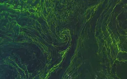 Phát hiện ra nguồn phát thải khí mêtan đáng ngạc nhiên đang ẩn nấp trong các đại dương