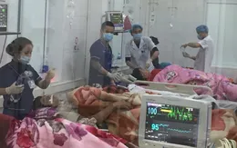 Ăn trứng cóc: 1 người tử vong, 7 người nguy kịch