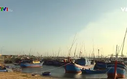 Cuối năm ở làng biển: Mong chờ Tết sum vầy