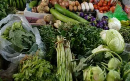 Các loại thực phẩm có thể gây dậy thì sớm