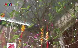 Tết đoàn viên của những người lao động ở trời Âu