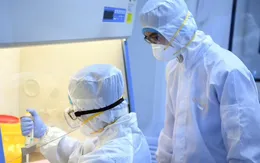 Australia tái tạo thành công virus gây bệnh viêm phổi cấp trong phòng thí nghiệm