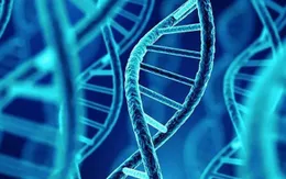 Chỉnh sửa ADN chữa bệnh đột biến gene