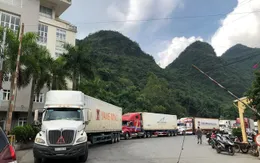 Hướng dẫn kiểm dịch y tế đối với người điều khiển và phương tiện vận tải