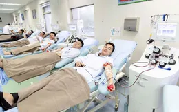 50 nhân viên y tế duy trì hiến tiểu cầu 7 ngày tết