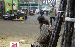 Cuộc sống vắng lặng bên trong thành phố Vũ Hán