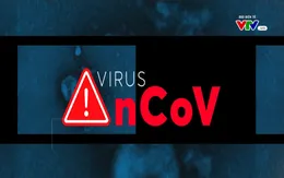 Điểm nhấn: Toàn cảnh dịch viêm đường hô hấp cấp do nCoV ngày 6/2/2020