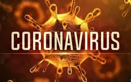 (Cập nhật): Đã có ít nhất 213 người nhiễm virus corona thiệt mạng