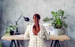 Đặt chậu cây trên bàn làm việc giúp giảm căng thẳng