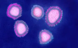 WHO: Dịch viêm phổi lạ tại Trung Quốc có thể liên quan tới một loại virus mới
