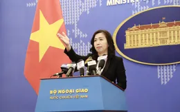 Phản ứng của Việt Nam trước việc Trung Quốc thử nghiệm đập Cảnh Hồng