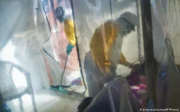 Thế giới chưa thể kết thúc dịch COVID-19 trong 6 tháng nữa