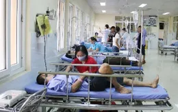 Tăng đột biến tình trạng nhiễm khuẩn, nhiễm độc thức ăn