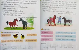 Nhận trách nhiệm về SGK lớp 1, Bộ GD&ĐT sẽ làm gì để chỉnh sửa?