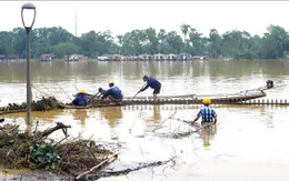Cẩn trọng với các bệnh về da thường gặp sau mưa lũ