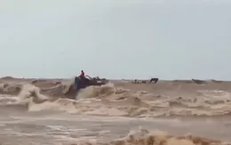 Những người hỗ trợ ngư dân bám biển