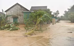 111 người thiệt mạng, 22 người mất tích do mưa lũ miền Trung