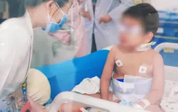Mắc bệnh "máu ăn máu", bé trai xuất huyết phổi, nhiễm trùng nặng