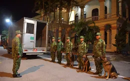 Đội chó nghiệp vụ vào hỗ trợ tìm kiếm nạn nhân mất tích tại Rào Trăng 3