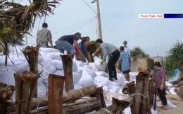 Thừa Thiên - Huế, Khánh Hòa gia cố đê, di dời dân phòng chống bão số 9