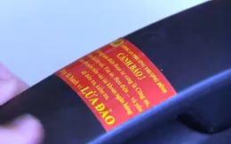 "Đi từng ngõ, gõ từng nhà" để phòng chống lừa đảo qua điện thoại