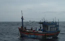 Tàu cá cùng 9 ngư dân mất liên lạc 3 tuần
