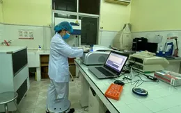 152/152 mẫu F1 liên quan ca nghi mắc COVID-19 người Nhật Bản đều âm tính