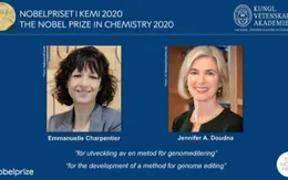 Giải Nobel Hoá học 2020 vinh danh phương pháp chỉnh sửa gien