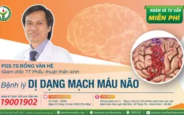 Khám, tư vấn miễn phí bệnh lý dị dạng mạch máu não tại Hà Nội