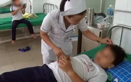 Đồng Nai: 10 học sinh bị ong vò vẽ tấn công nhập viện