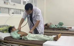 Xử trí cấp cứu 2 bệnh nhi bị rắn lục đuôi đỏ cắn