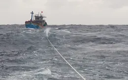 Cứu hộ kịp thời tàu cá và 13 ngư dân Bình Định gặp nạn trên biển