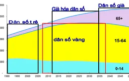 Dân số Việt Nam: Già hóa nhanh, thừa nam thiếu nữ nghiêm trọng