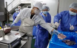 Vũ Hán (Trung Quốc) phát hiện SARS-CoV-2 trên thịt bò nhập khẩu Brazil