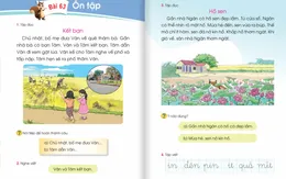 NXB xin ý kiến sửa nội dung, từ ngữ chưa phù hợp ở SGK tiếng Việt bộ Cánh Diều