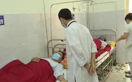 Tăng cường công tác chẩn đoán, điều trị bệnh Whitmore
