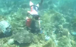 Vị giám đốc hơn 8 năm miệt mài nhặt rác ở bán đảo Sơn Trà