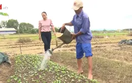 Dốc sức khôi phục sản xuất nông nghiệp sau lũ