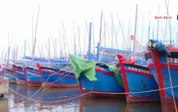 Bình Định kêu gọi tàu thuyền tránh bão số 10